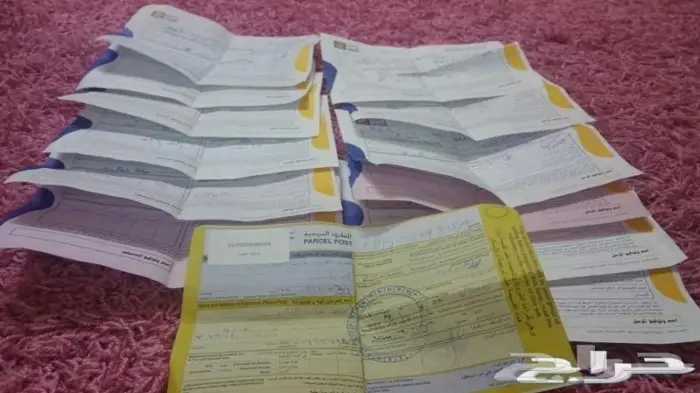 عروض الموسم على نطيطات ترامبولين للشاليهات والاسراحات والكل 26