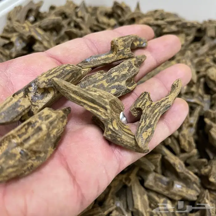 عود بخور فاخر وبياض وجه باسعار الجملة 0