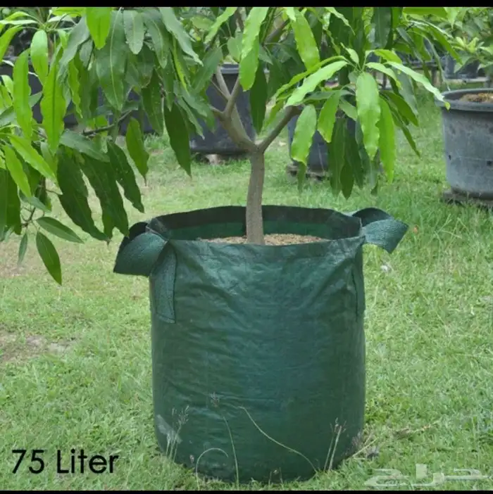 مراكن زراعية 11