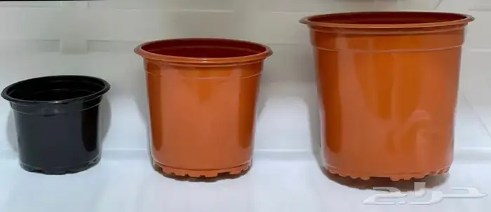 مراكن زراعية 15