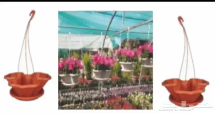 مراكن زراعية 23