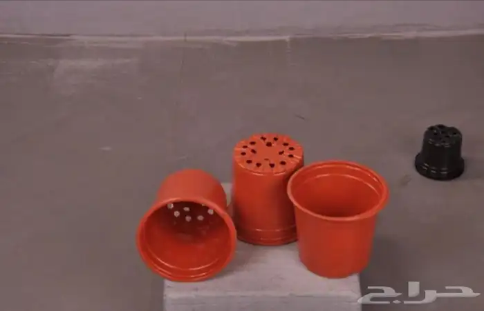 مراكن زراعية 0