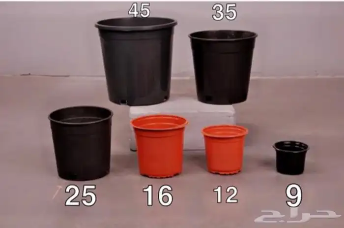 مراكن زراعية 3