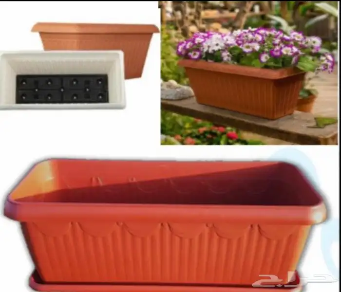 مراكن زراعية 31