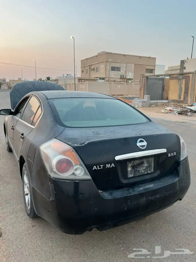 التيما 7
