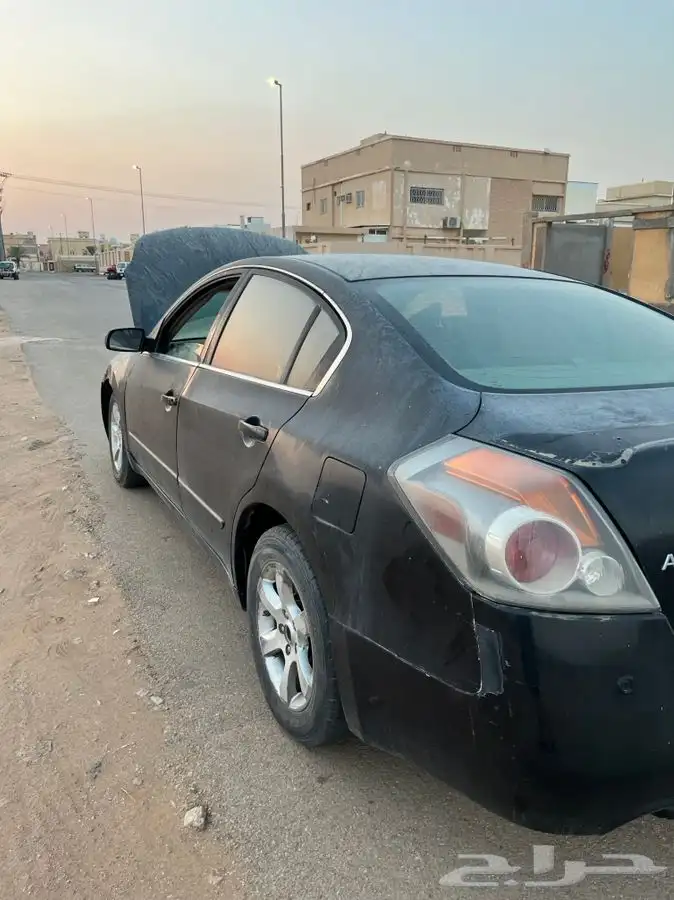 التيما 6