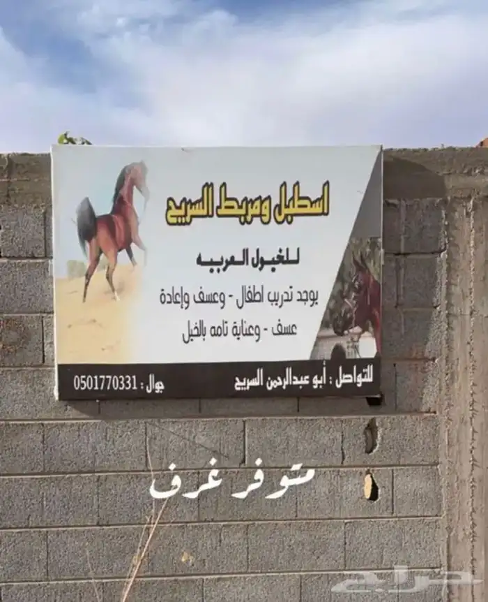 مربط السريح للخيل العربيه الأصيلة 1