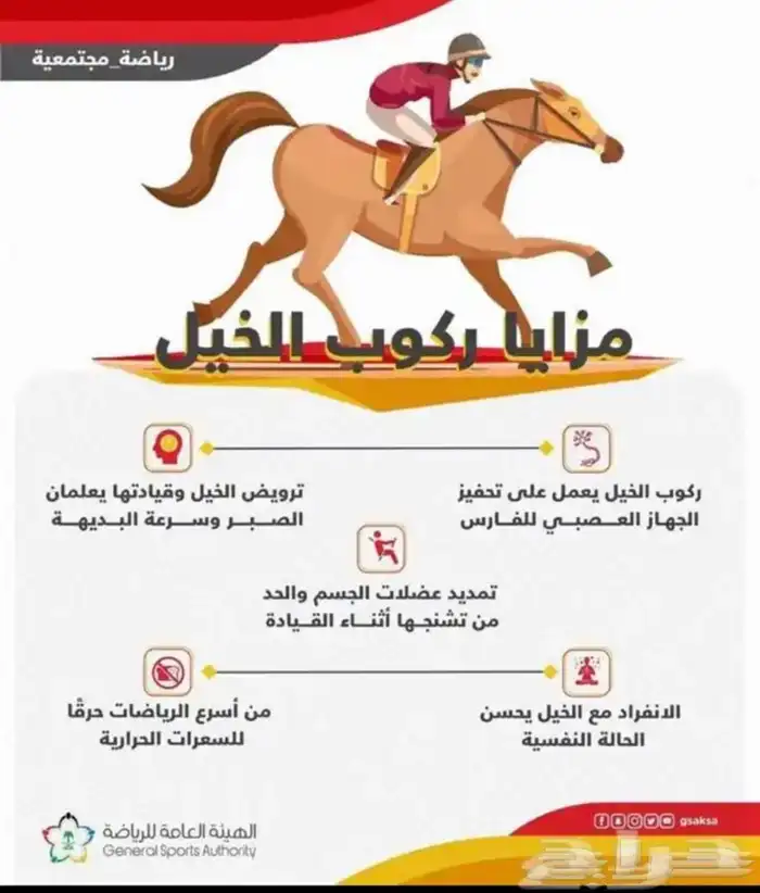 مربط السريح للخيل العربيه الأصيلة 2