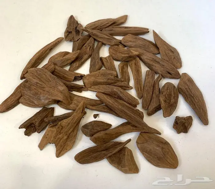 عود مروكي ( النخبة ) فاخر جدا جدا 0