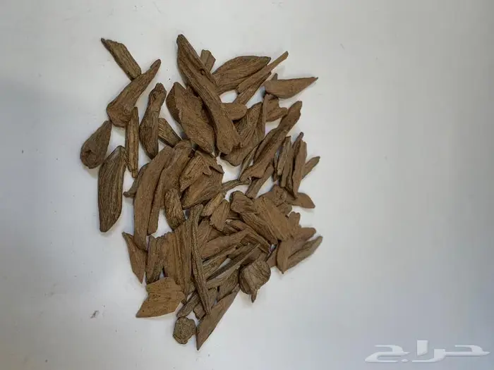 عود مروكي ( النخبة ) فاخر جدا جدا 3
