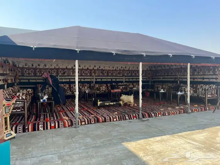 خيمة الصباح الملكية الجديد 0