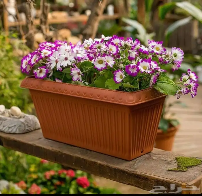 مراكن زراعة 22