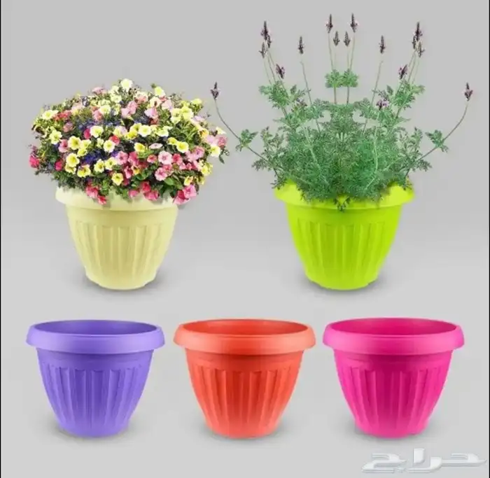 مراكن زراعية 4