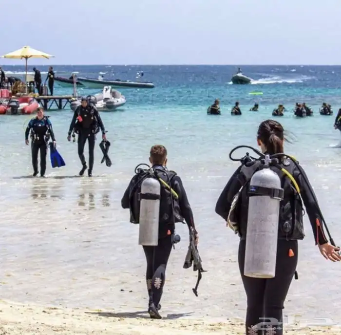 عرض خاص على دورة غوص Scuba Diving 4