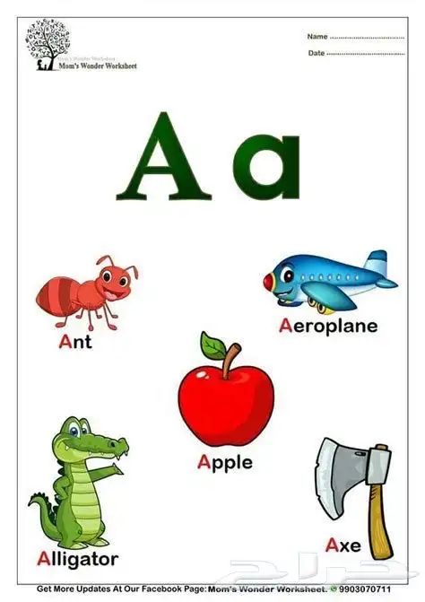 معلمه انجليزي 1