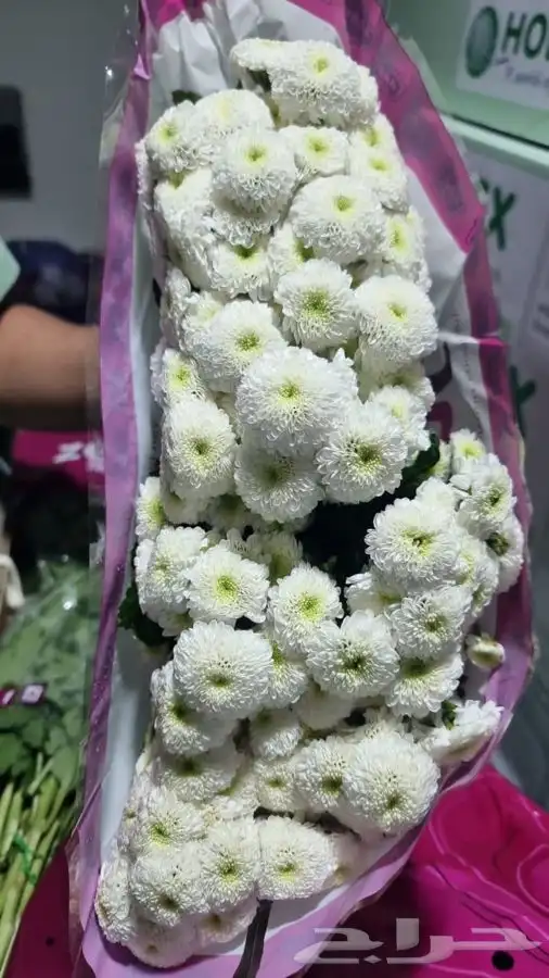 ورد جمله 25