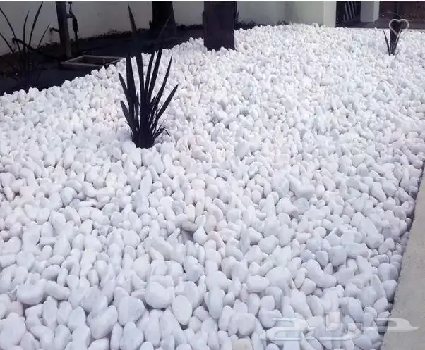 حجر ابيض الثلجي للزينة 3