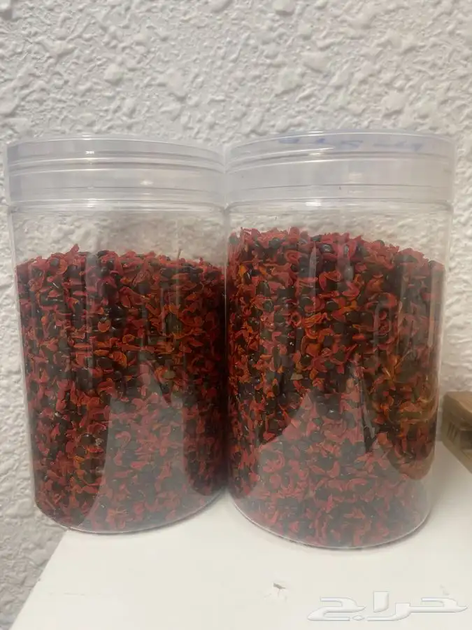بذور طلح ملحي نصف كيلو 200 0