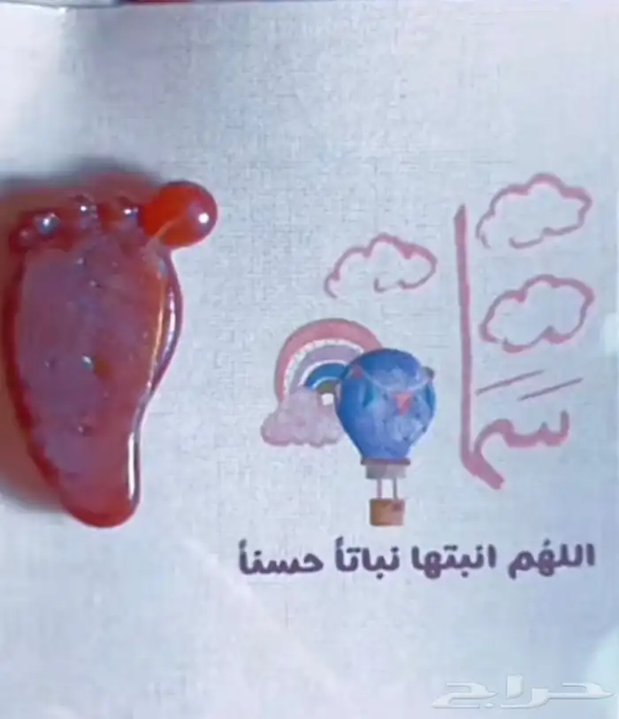 توزيعات مواليد 2