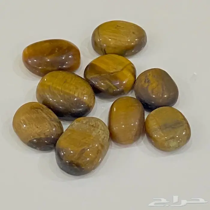 احجار تايقر افريقي اصلي قديمه ومخزنه 3