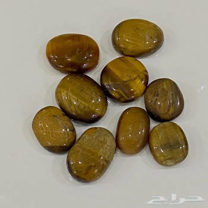 احجار تايقر افريقي اصلي قديمه ومخزنه 1