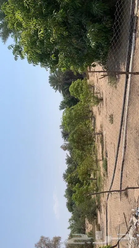 مزرعه في املج بصك شرعي للبيع 0