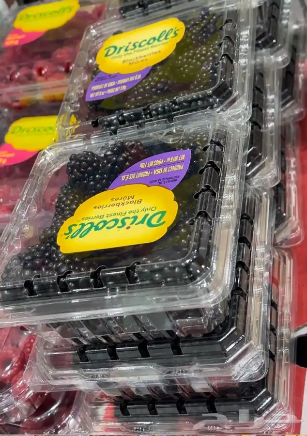 خضار وفواكه محلي ومستورد Local and imported vegetables and f 6