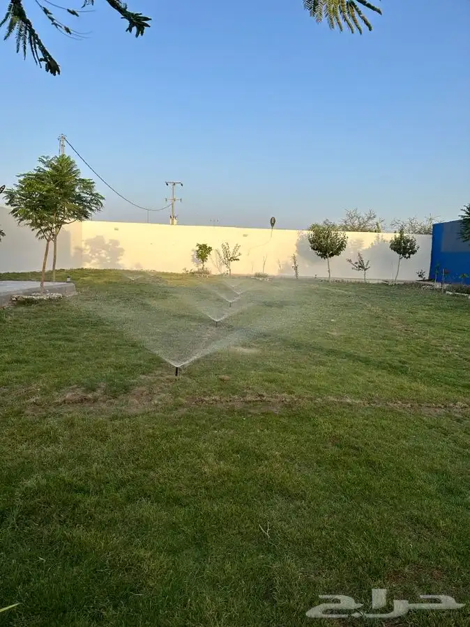 تنفيذ تشجير وإنجيلة وزراعة وتسميد 0