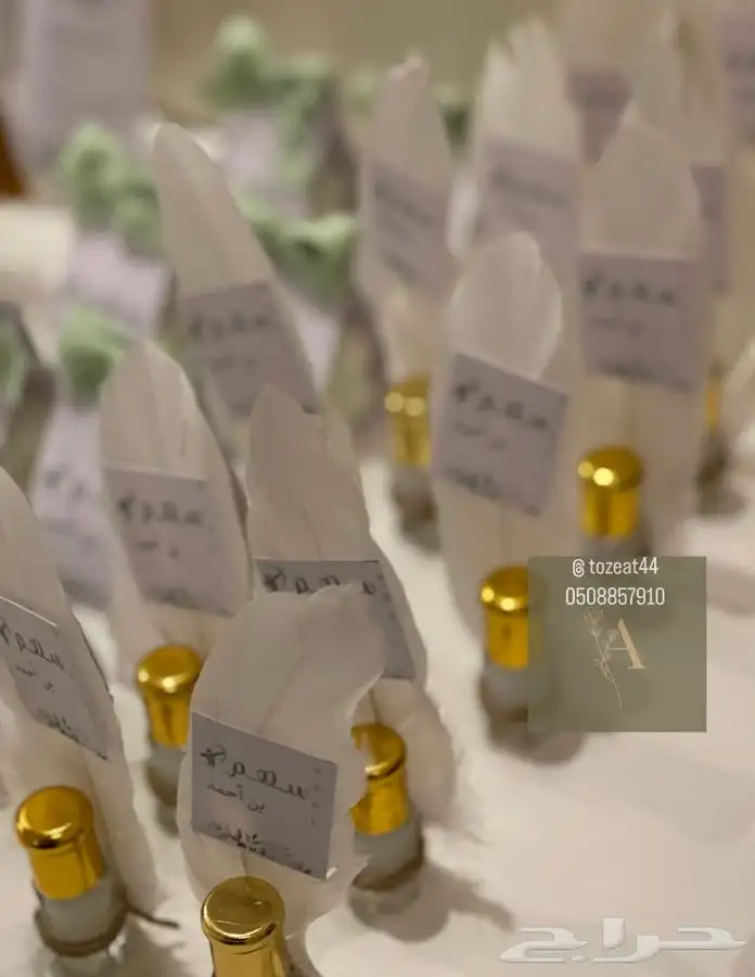 توزيعات مواليد تنفيذ سريع 22