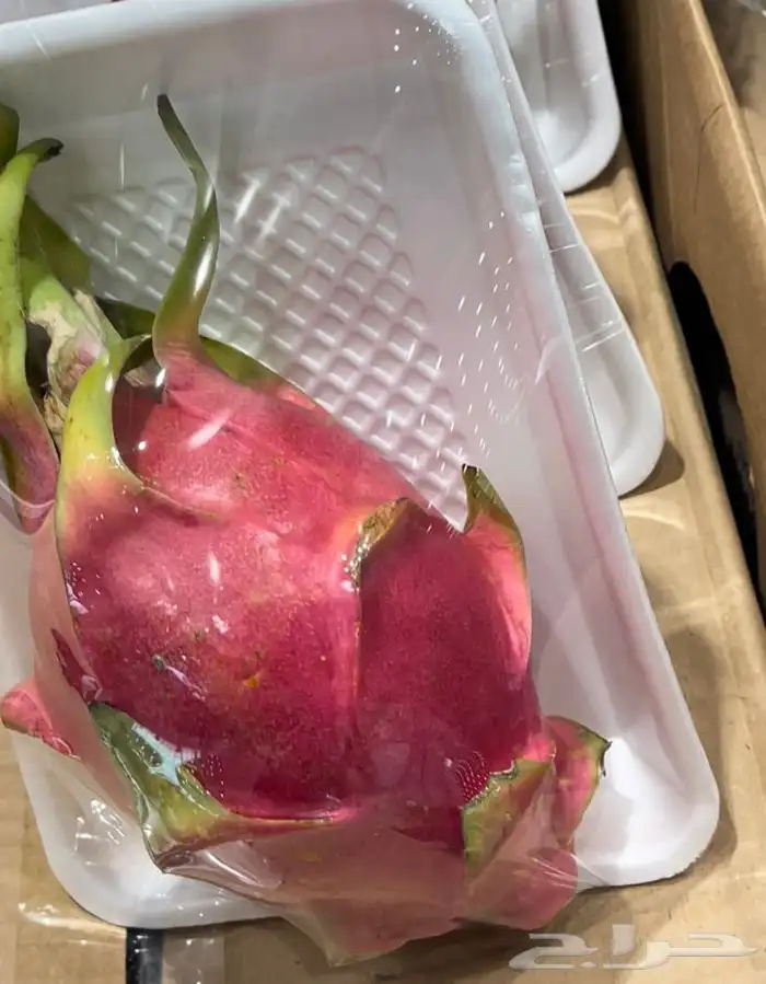 خضار وفواكه محلي ومستورد Local and imported vegetables and f 8