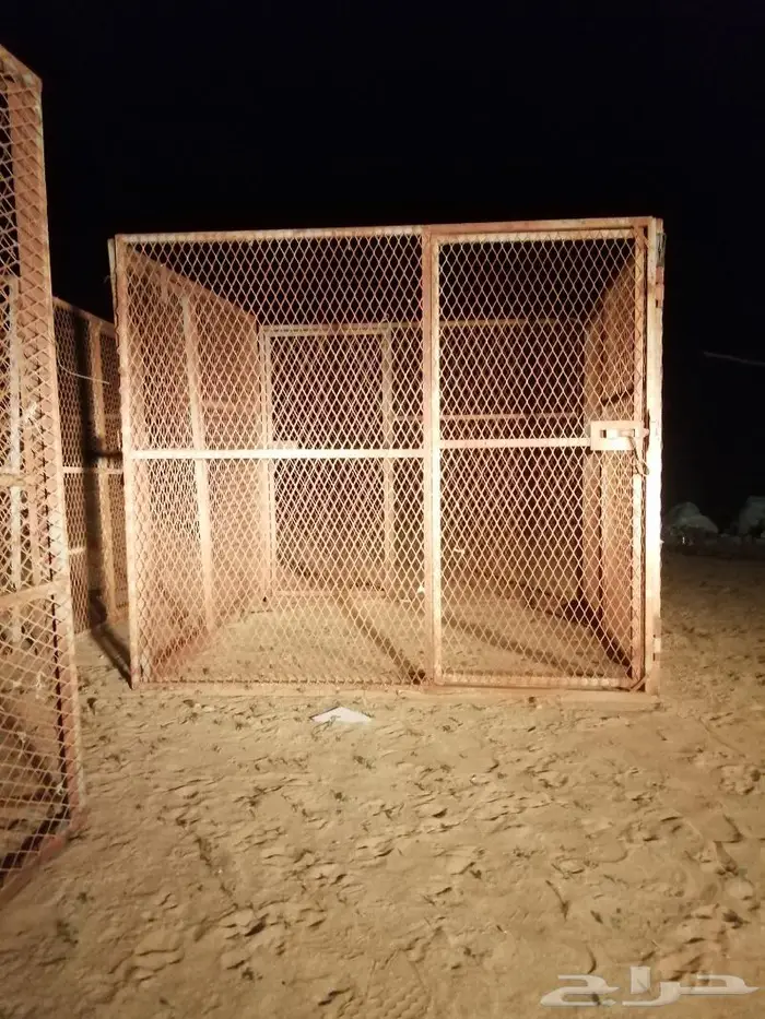 مجموعة شبوك للبيع 7