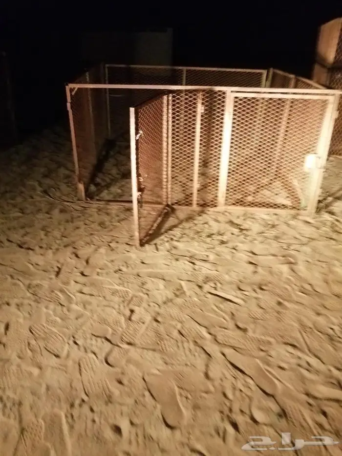 مجموعة شبوك للبيع 8