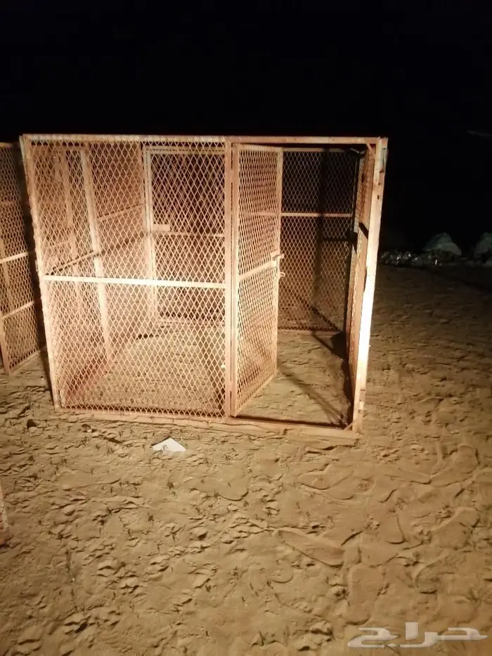 مجموعة شبوك للبيع 6