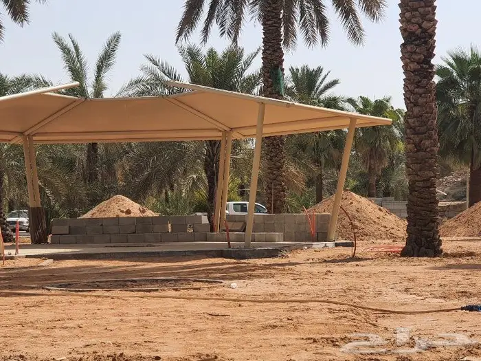 مضلات وشبوك 8