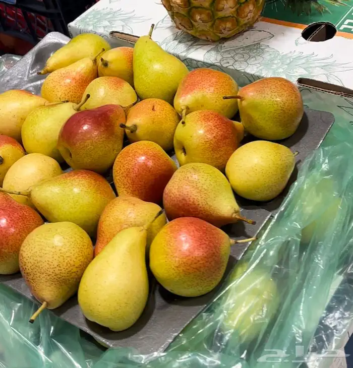 خضار وفواكه محلي ومستورد Local and imported vegetables and f 3