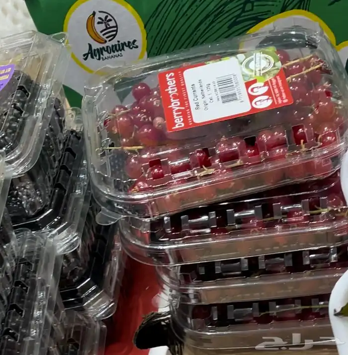 خضار وفواكه محلي ومستورد Local and imported vegetables and f 7