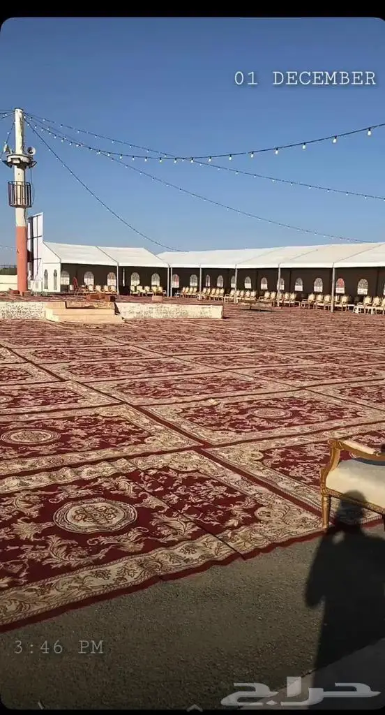 كنب ملكي 3