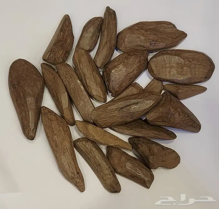 عود مروكي ملكي - المجالس 1