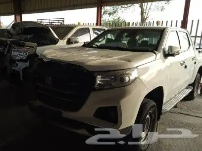شجان 2