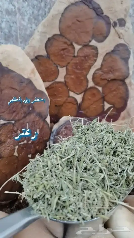 تبوك زعتر بري 0