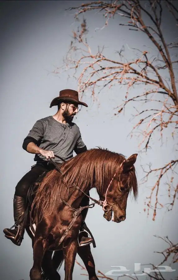 تدريب على ركوب الخيل 0