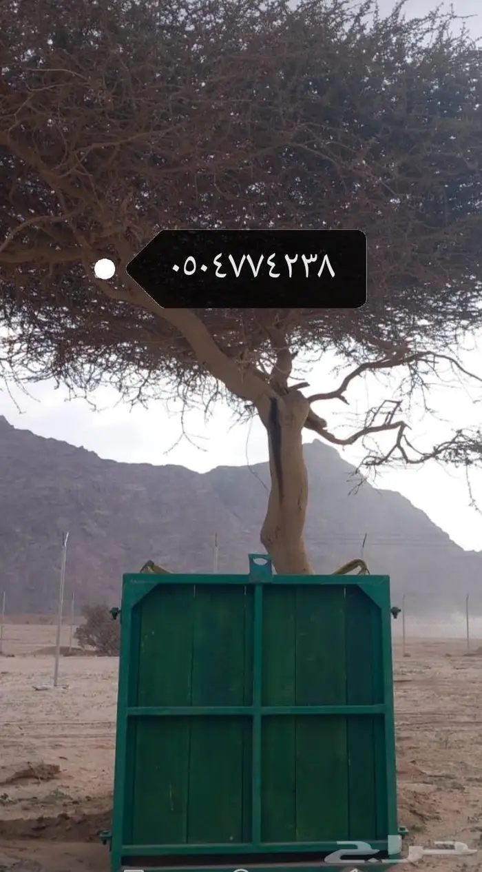زراعه وشبوك واعمال حجر 5
