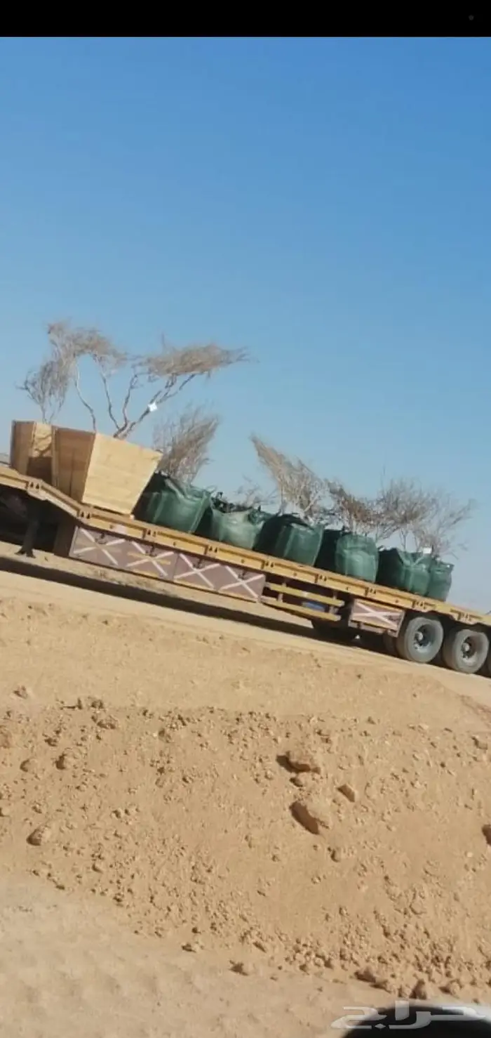 زراعه وشبوك واعمال حجر 8