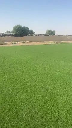 ثيل طبيعي c2000 نجيله طبيعي 0