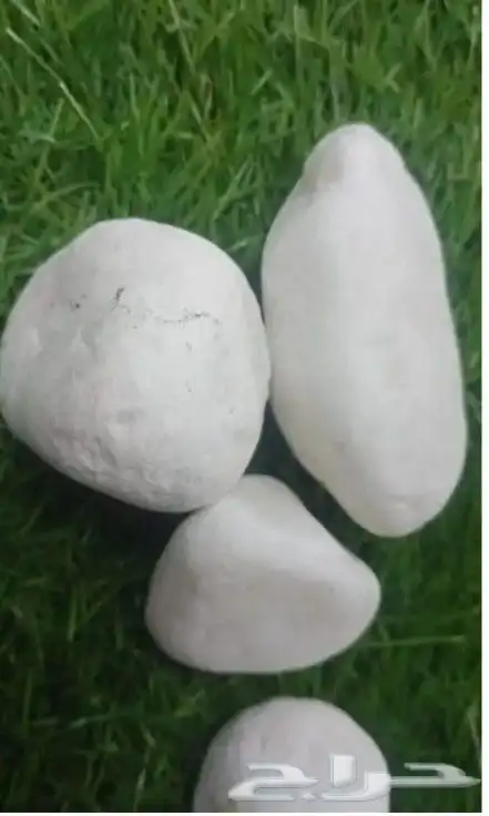 حجر زينه للحدائق 9
