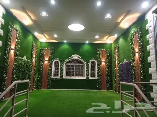 العشب الجداري والعشب الأرضي 22