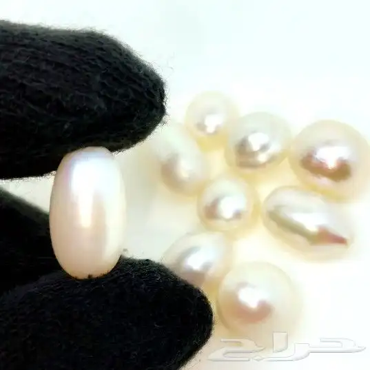 لؤلؤ أستراليا طبيعي 3