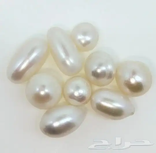 لؤلؤ أستراليا طبيعي 2