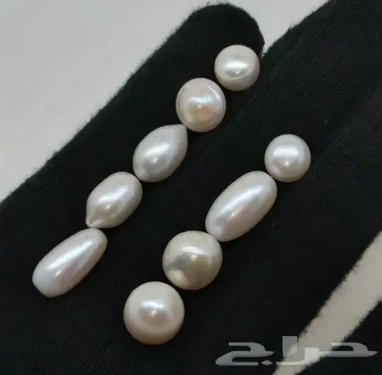 لؤلؤ أستراليا طبيعي 0