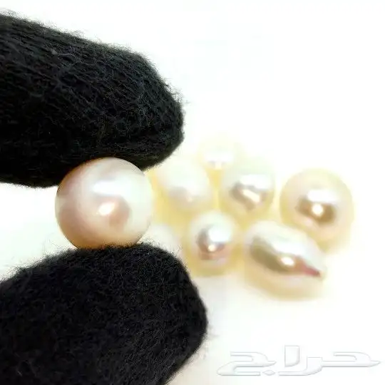 لؤلؤ أستراليا طبيعي 1